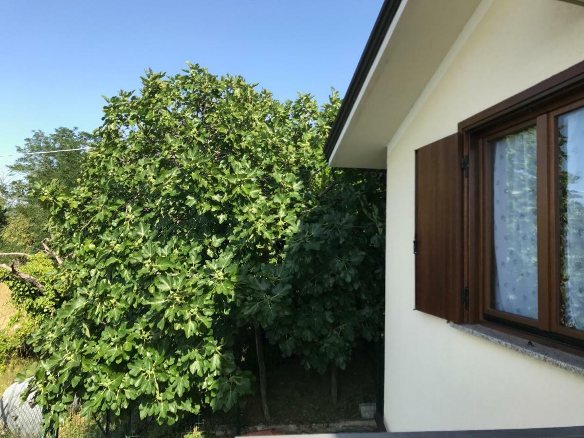 La Casa Di Nonna Bruna Muggia Luaran gambar