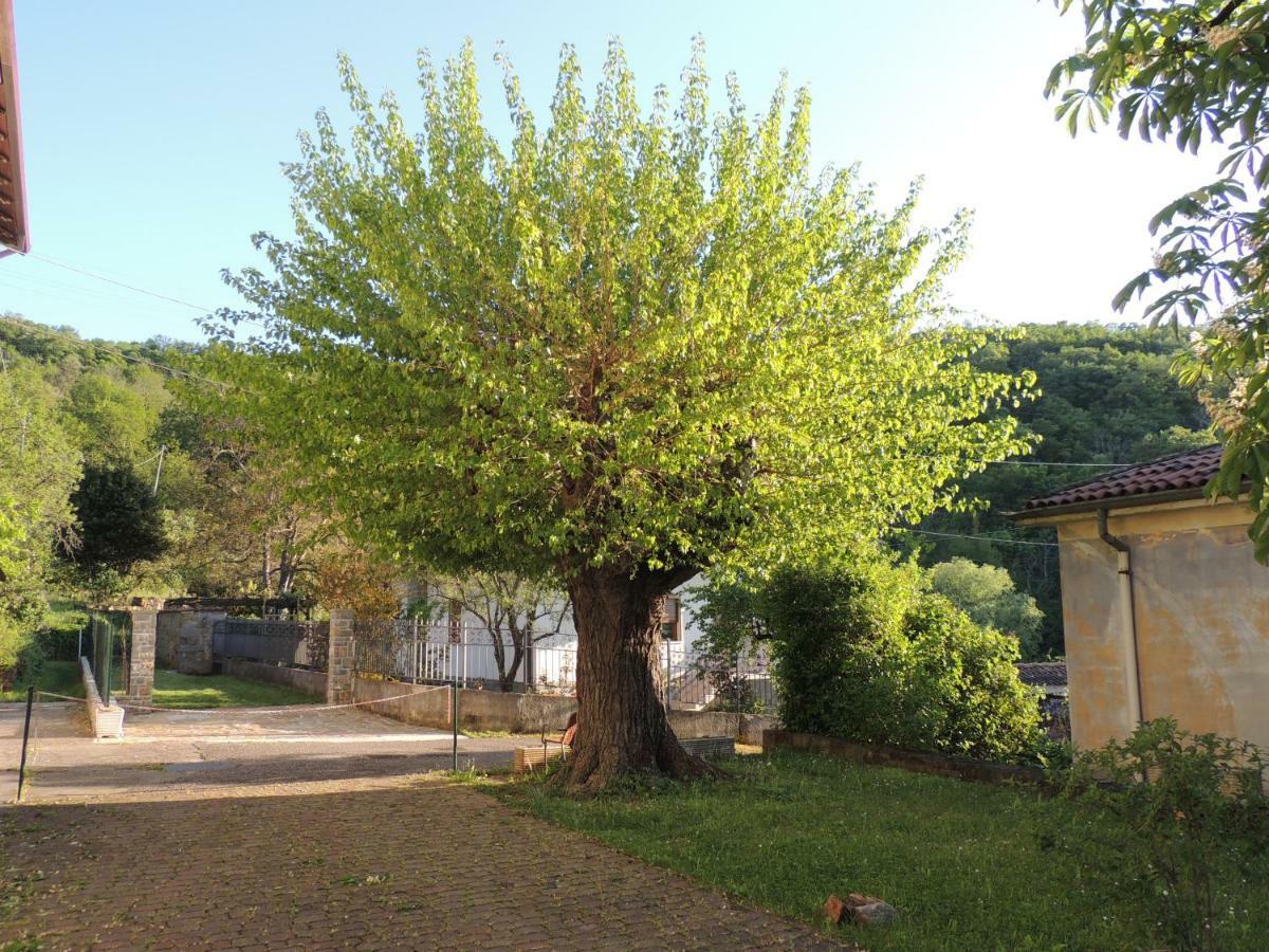 La Casa Di Nonna Bruna Muggia Luaran gambar